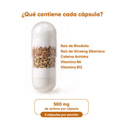 Enercore 120 cápsulas 500 mg