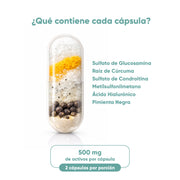 Flx Free Complex 60 Cápsulas 500 Mg