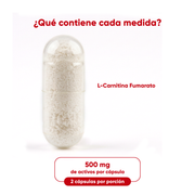 L-Carnitina 120 cápsulas 500 mg