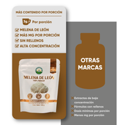Melena de León Bolsa de 100g
