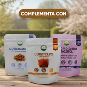 Melena de León Bolsa de 100g