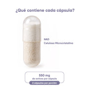 NAD+ 30 cápsulas 500 mg c/u
