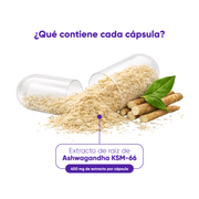 Ashwagandha Ksm-66 30 Cápsulas 500 Mg