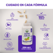 Ashwagandha Ksm-66 30 Cápsulas 500 Mg