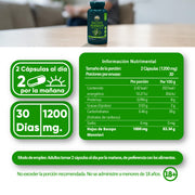 Bacopa Monnieri 60 Cápsulas 450 Mg