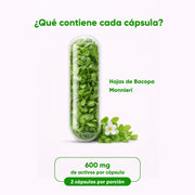 Bacopa Monnieri 60 Cápsulas 450 Mg