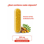 Berberina HCL 97% 60 Cápsulas 500 Mg