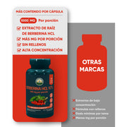 Berberina HCL 97% 60 Cápsulas 500 Mg