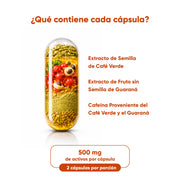 Café Verde + Guaraná 60 Cápsulas 500 Mg