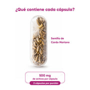 Cardo Mariano 60 Caps de 500 mg