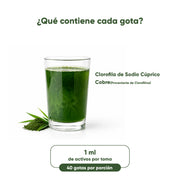 Clorofila en gotas sabor menta de 50ml