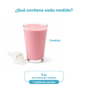 Creatina Monohidratada 300g