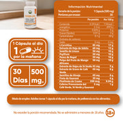 Fster Lpo 30 cápsulas de 500mg