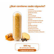 Fster Lpo 30 cápsulas de 500mg