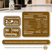 Melena de León 60 capulas de 550mg