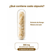 Melena de León 60 capulas de 550mg