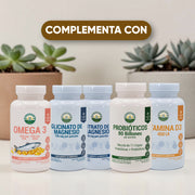 Melena de León 60 capulas de 550mg