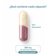 NAD + Resveratrol, 60 Cápsulas 550 mg