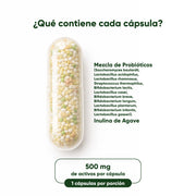 Probióticos  30 Cápsulas 500 Mg