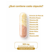 Rhodiola Rosea + Complejo B 60 Cápsulas 525 Mg