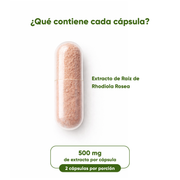Rhodiola Rosea  60 Cápsulas 525 Mg