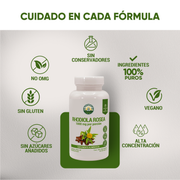 Rhodiola Rosea  60 Cápsulas 525 Mg