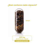 Shilajit 60 Cápsulas 400 Mg