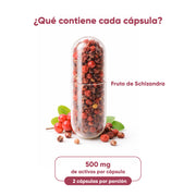 Schizandra 60 Cápsulas 500 mg
