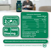 Té Verde Extracto  60 Cápsulas 500 Mg