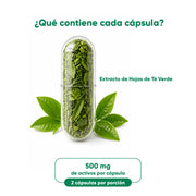 Té Verde Extracto  60 Cápsulas 500 Mg