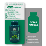 Té Verde Extracto  60 Cápsulas 500 Mg