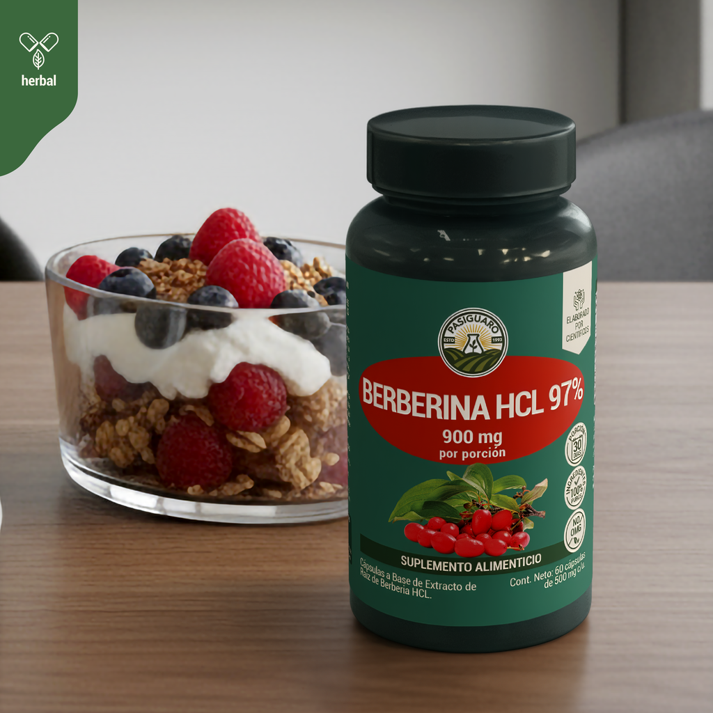 Berberina HCL 97% 60 caps de 500 mg