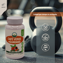 Café Verde + Guaraná 60 caps de 500 mg